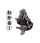 こんぶと仲間のハッピーライフ（個別スタンプ：4）