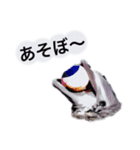 こんぶと仲間のハッピーライフ（個別スタンプ：5）