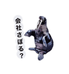 こんぶと仲間のハッピーライフ（個別スタンプ：8）