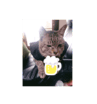 インコとうさぎと猫とはちみつ（個別スタンプ：3）