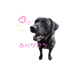 もきちくん（個別スタンプ：7）