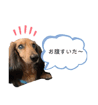じぃじとちょちょ（個別スタンプ：1）