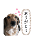 じぃじとちょちょ（個別スタンプ：6）