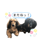 じぃじとちょちょ（個別スタンプ：8）