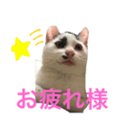 白とちょっと黒の妖精ミルキーちゃん（個別スタンプ：5）