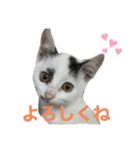 白とちょっと黒の妖精ミルキーちゃん（個別スタンプ：6）