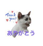 白とちょっと黒の妖精ミルキーちゃん（個別スタンプ：7）