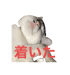 白とちょっと黒の妖精ミルキーちゃん（個別スタンプ：8）