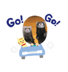 わがやのかわいいふぇれっと（個別スタンプ：4）