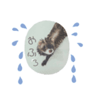 わがやのかわいいふぇれっと（個別スタンプ：6）