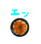 いくら丼 と 手書き風文字（個別スタンプ：37）