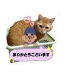 ☆まー坊☆（個別スタンプ：5）
