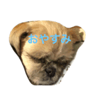 村田コーラーチェーの日常（個別スタンプ：1）