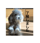 村田コーラーチェーの日常（個別スタンプ：6）
