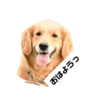 はらださんのおうち（個別スタンプ：2）