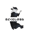 はらださんのおうち（個別スタンプ：7）