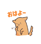ゆるいぬ 1（個別スタンプ：1）
