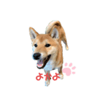 やまぐちさだはる2（個別スタンプ：1）