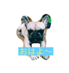 ナイトのオリジナルスタンプ（個別スタンプ：1）