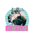 ナイトのオリジナルスタンプ（個別スタンプ：2）