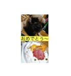 ナイトのオリジナルスタンプ（個別スタンプ：6）