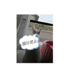 キャットヒロ（個別スタンプ：3）