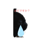 ちゃこちゃん・あんこちゃん（個別スタンプ：5）