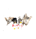 えいとのスタンプno.1（個別スタンプ：3）