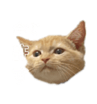 ねこ 猫 Cat（個別スタンプ：3）