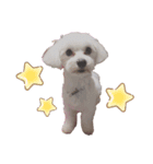 めいぽんまる（個別スタンプ：3）