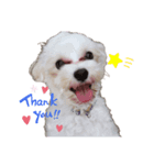 めいぽんまる（個別スタンプ：5）