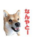 あつあげ（個別スタンプ：4）