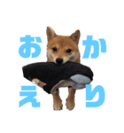 あつあげ（個別スタンプ：6）