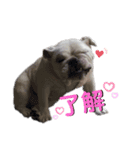 梅ちゃん's BEST ②（個別スタンプ：2）