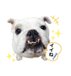梅ちゃん's BEST ②（個別スタンプ：6）
