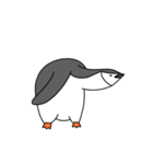 私はヒゲペンギンです（個別スタンプ：9）