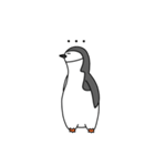 私はヒゲペンギンです（個別スタンプ：11）