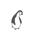 私はヒゲペンギンです（個別スタンプ：15）