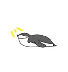 私はヒゲペンギンです（個別スタンプ：16）
