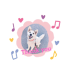 ちろすけ（個別スタンプ：1）