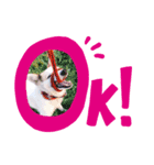 ちろすけ（個別スタンプ：7）
