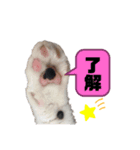 山羊さんpartⅡ（個別スタンプ：4）