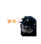 リンとココ（個別スタンプ：2）