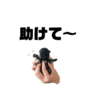リンとココ（個別スタンプ：7）