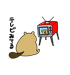 ねこぜびーばー（個別スタンプ：25）