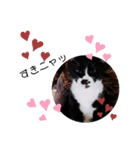 양말군♡（個別スタンプ：8）
