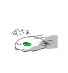 おもちけん（個別スタンプ：4）