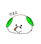 おもちけん（個別スタンプ：13）