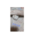ハムスターのチビたん（個別スタンプ：2）
