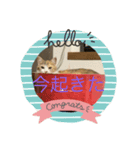 どらさんが言った（個別スタンプ：8）